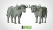 CKM3DIP-156 - 1:72 Scale - Buffalo - New Pose 1 (2 Pack)