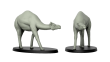 CKM3DIP-374 - 1:72 Scale - Camel New Pose