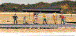 BACH42341 - HO Scale - Train Work Crew