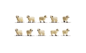 OO Scale - Sheep