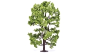 Acacia Tree - 15cm