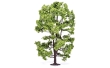 HORNR7217 - Acacia Tree - 15cm