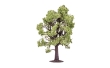HORNR7219 - Beech Tree - 13cm