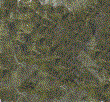 LAB5101 - Lichen - Light Green
