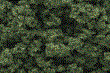 WOODFC683 - Clump Foliage - Medium Green