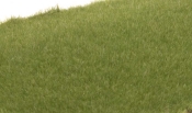 2mm Static Grass - Medium Green