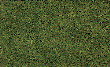 WOODT64 - Coarse Turf - Medium Green