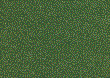 BUSC7043 - Scatter Material - Summer Green