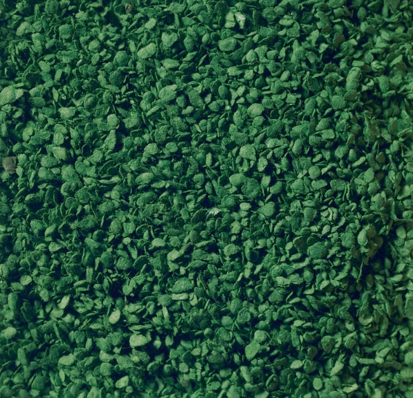Picture of Leaves Ground Cover - Dark Green