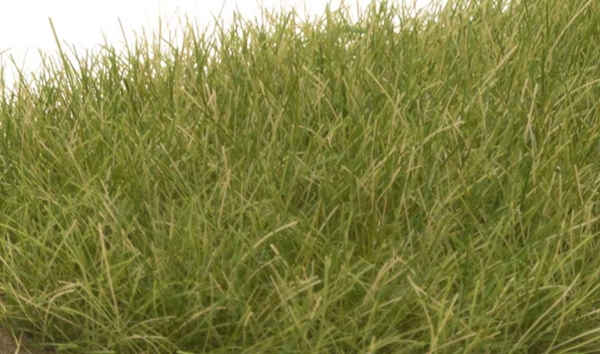 Picture of Static Grass - 12mm - Medium Green