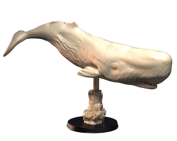 Picture of Animals Set 4 - 32mm Scale - Sperm whale V1