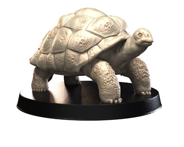 Picture of Animals Set 4 - 1/87 Scale - Tortoise V1 (5 Pack)